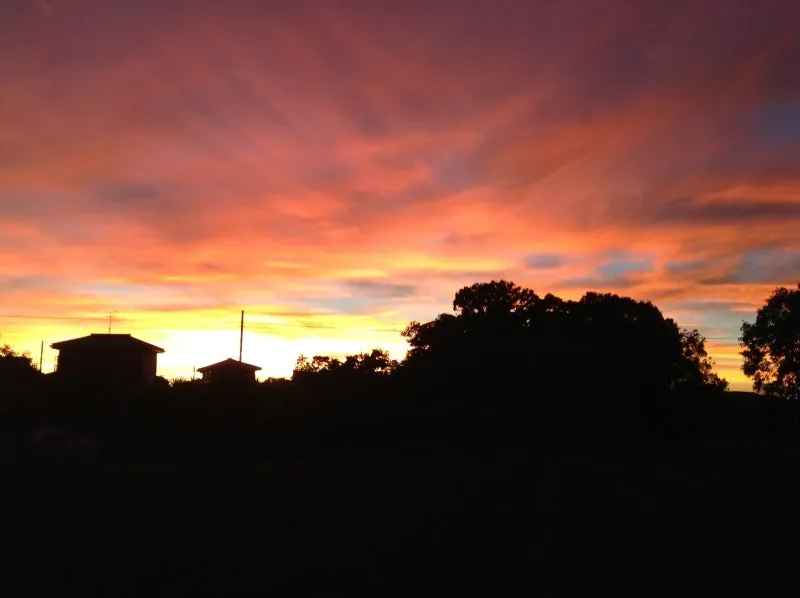 夕日に釘づけでしたの写真 1