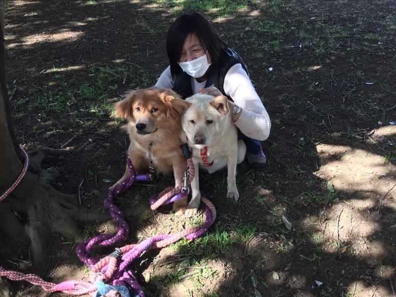 ワンニャンM'sの「犬猫譲渡会」の写真 2