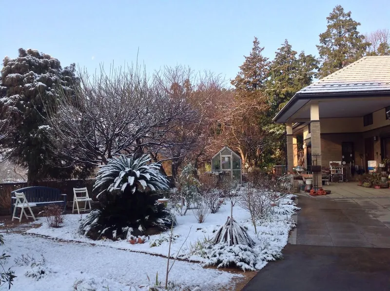 今朝の雪の写真 1