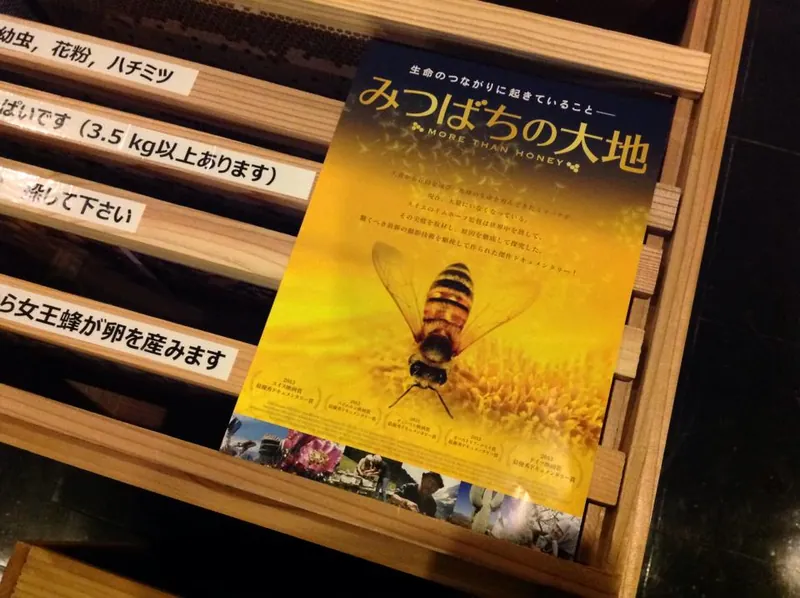 映画「みつばちの大地」の写真 1