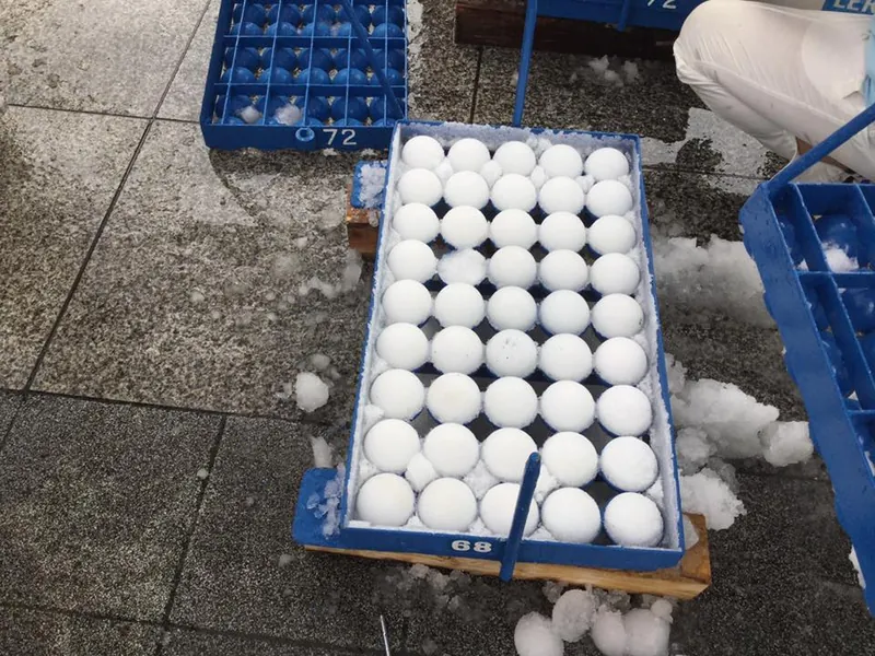 灼熱の雪合戦の写真 3