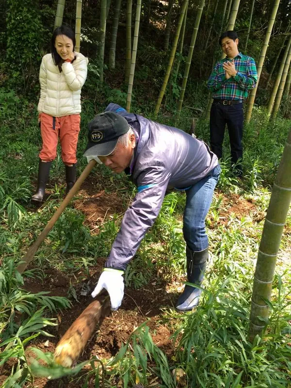 パナマ大使ご夫妻とタケノコ掘り　そのⅡの写真 2