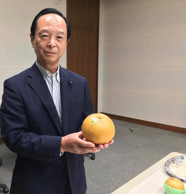 茨城県が農林水産物のトップブランド化に向けて取り組んでいる、梨の「恵水」が旬を迎えている。の写真 4