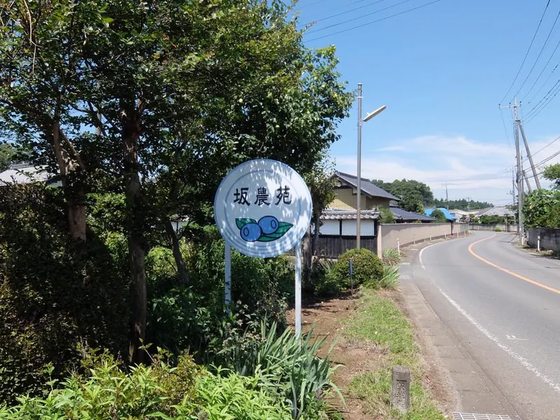 青山ゼミの視察 茨城の農業の写真 4