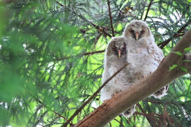 命の洗濯の写真 3