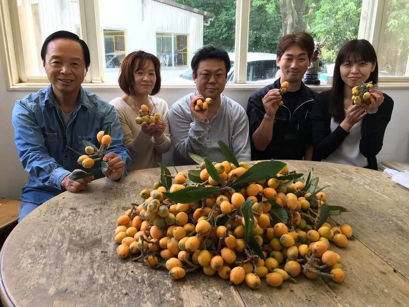 ビワの当たり年ですの写真 1