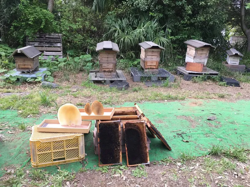 養蜂家みたいですの写真 3