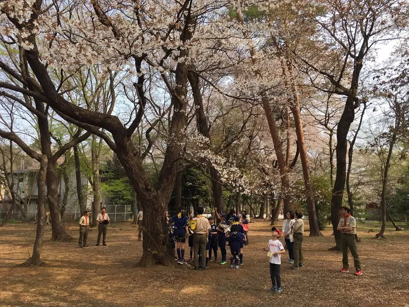 桜の花吹雪の中で任命式の写真 2