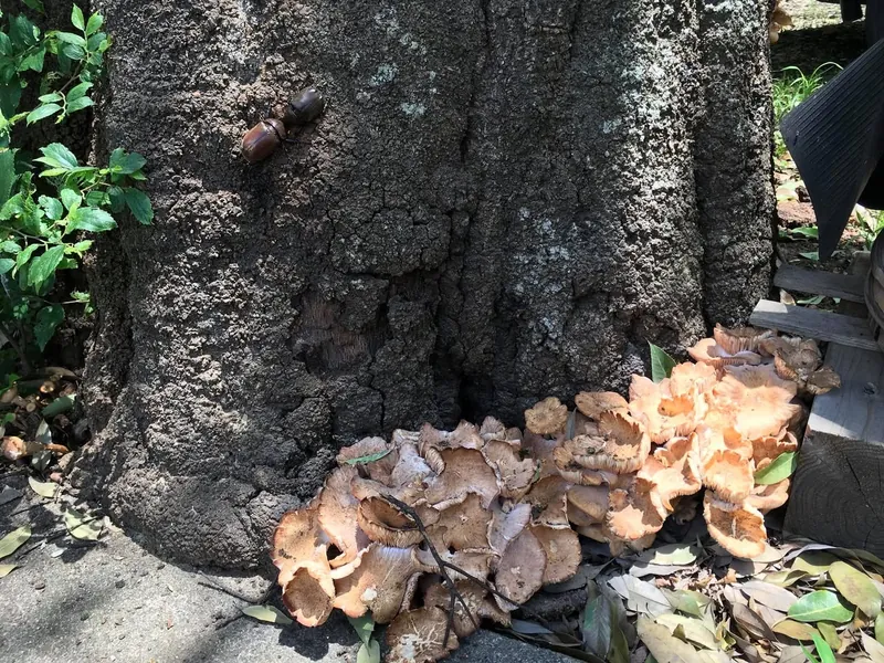 教えてくださいの写真 3