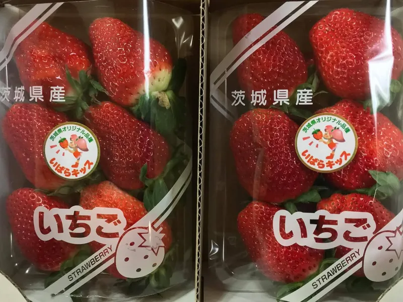 ミツバチが生命線ですの写真 2
