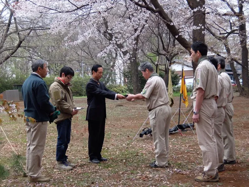 空いっぱいが桜の花の写真 4