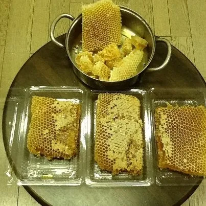みつばちの巣から珍しいものが採れました。の写真 1