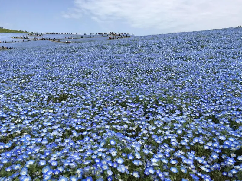 一度は行ってみたい絶景の写真 1