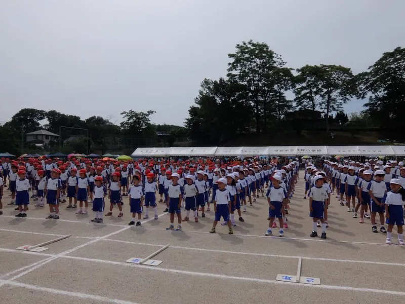 高野小の運動会の写真 2