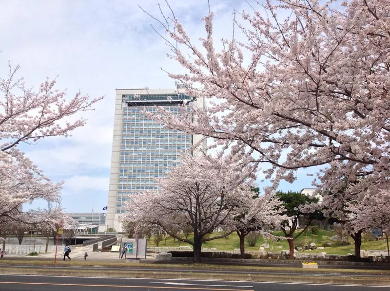 日本人で良かったの写真 1