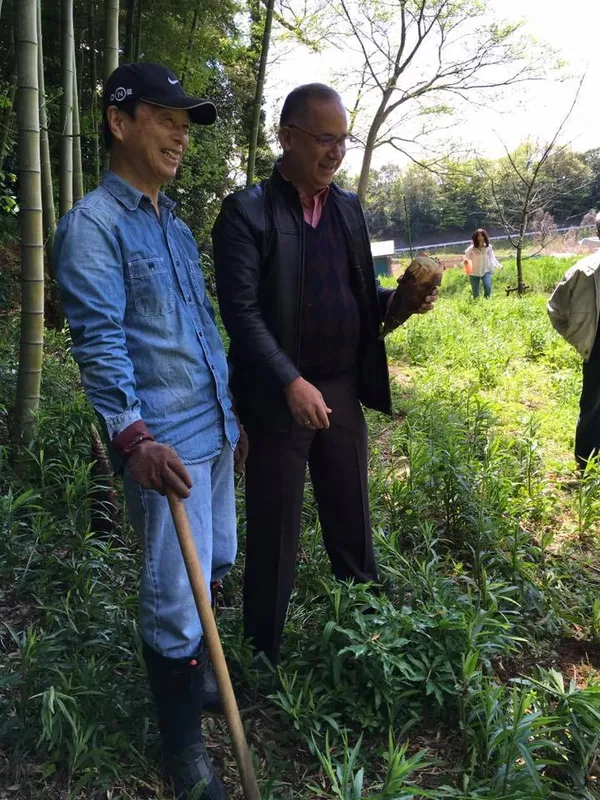 パナマ大使ご夫妻とタケノコ掘りの写真 3