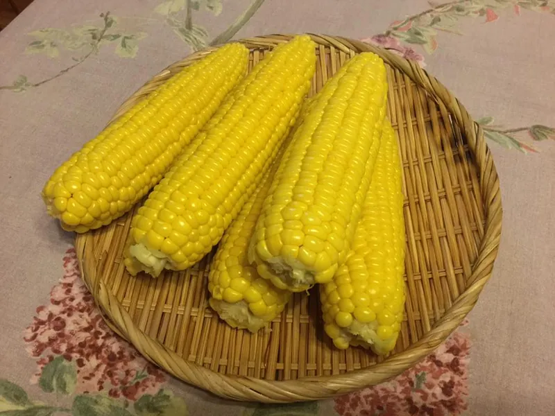 夏が大好きですの写真 1