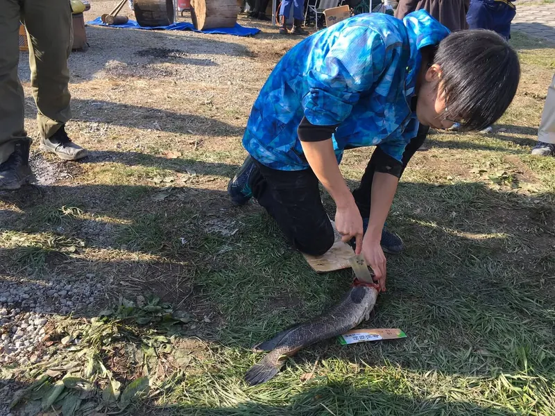 雷魚をさばくの写真 2