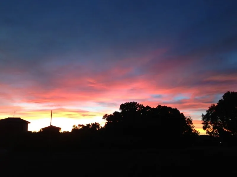 夕日に釘づけでしたの写真 4
