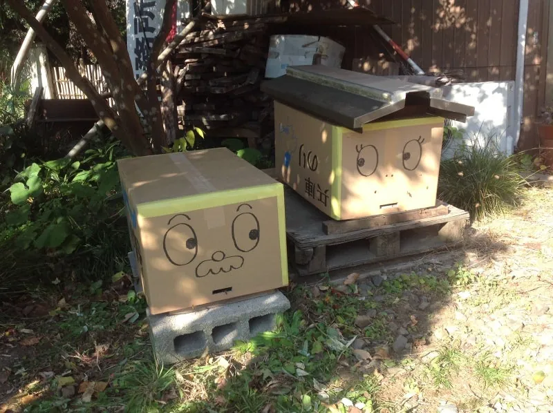 三條画伯による三條家の内情