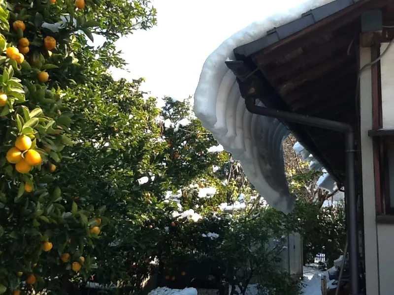 落雪に注意の写真 1