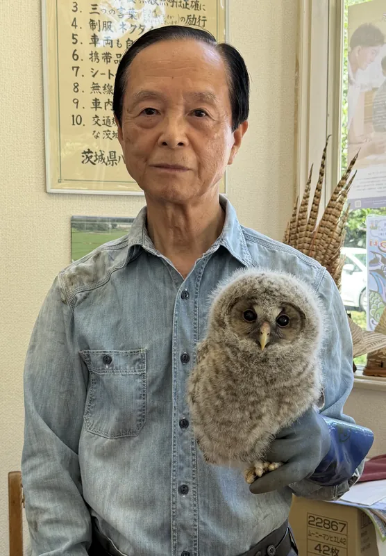 フクロウ日記　その⑭の写真 1