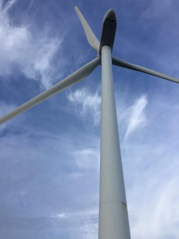 青山ゼミの視察　洋上風力発電所の写真 2