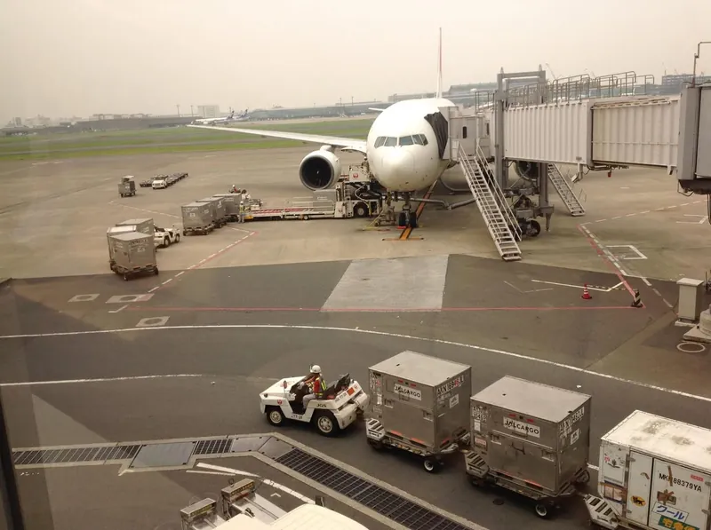 羽田空港での遭遇の写真 1