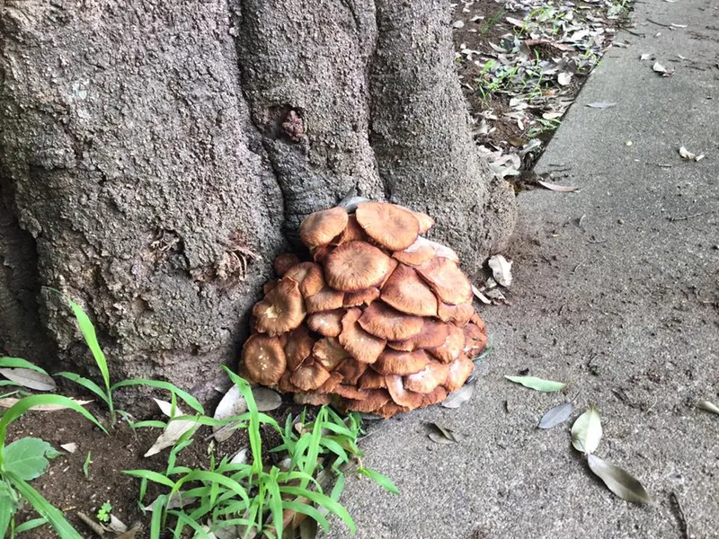 教えてくださいの写真 1
