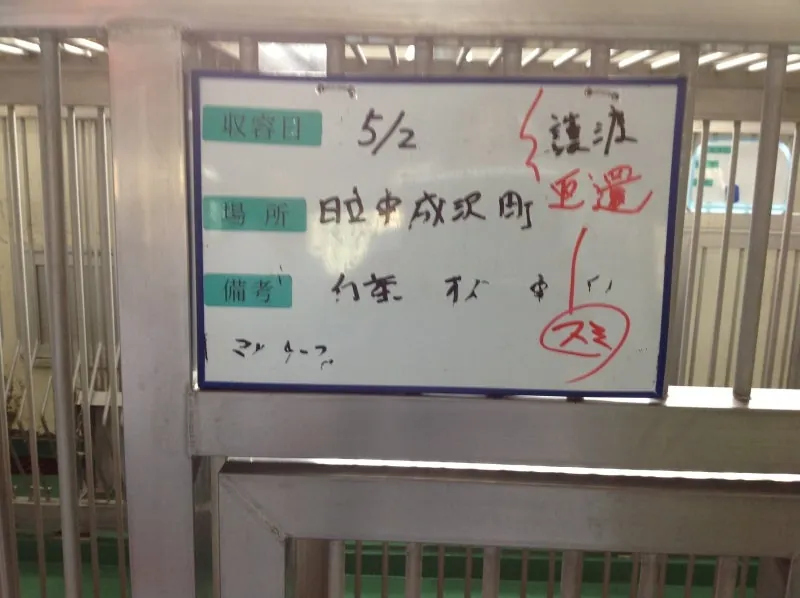 うれしい帰還の告示