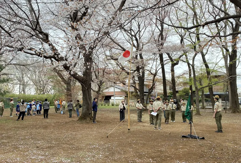 桜の花の下での写真 2