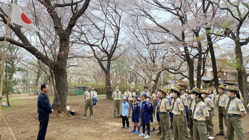 桜の花の下での写真 1