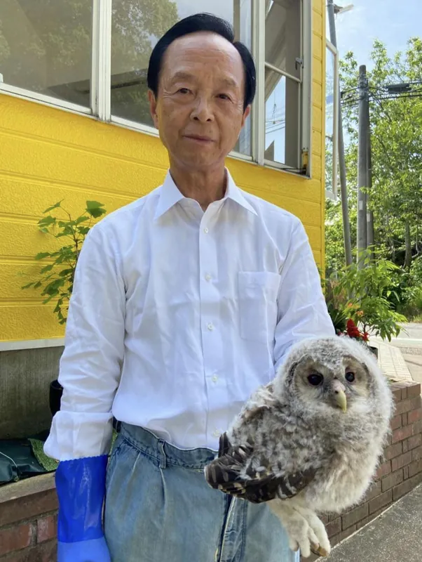 フクロウが巣立ったの写真 1