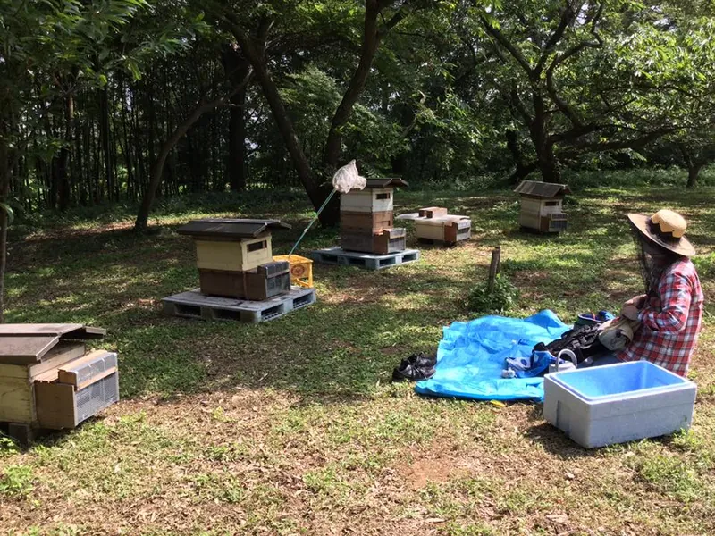 新しい圃場と初めての事件の写真 1