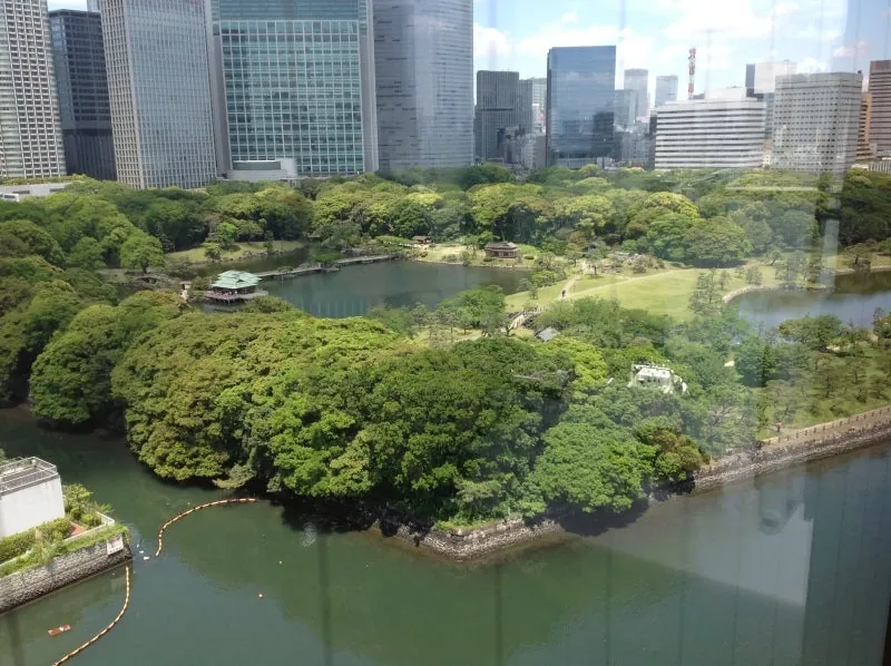 ホテルから浜離宮を望む