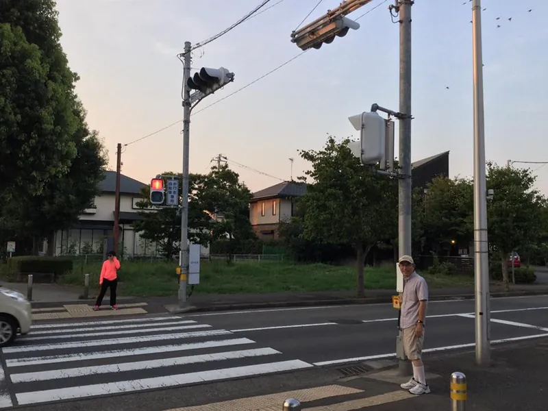 遊歩道と交わる横断歩道と、タッチ式に改良された信号機