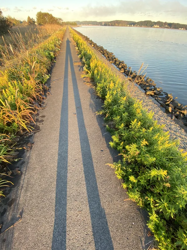早朝の散歩の写真 1