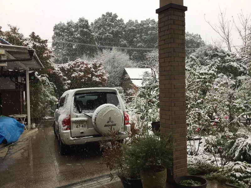 11月の降雪は54年ぶりの写真 1