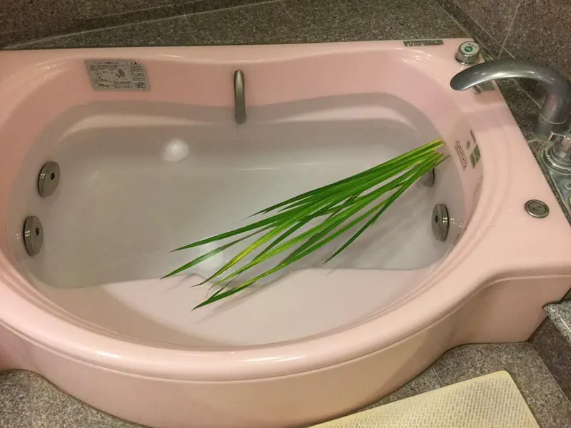 五月五日は菖蒲湯だの写真 1