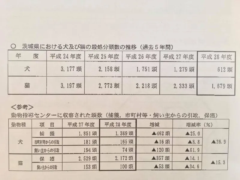 犬の殺処分5年前の2割以下 茨城県すごいぞ!の写真 1