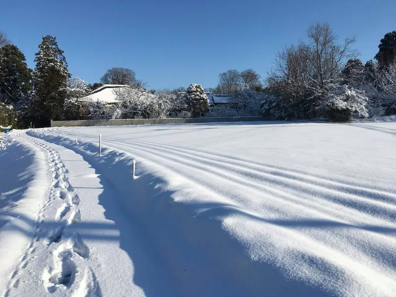 我が家の大雪の写真 2