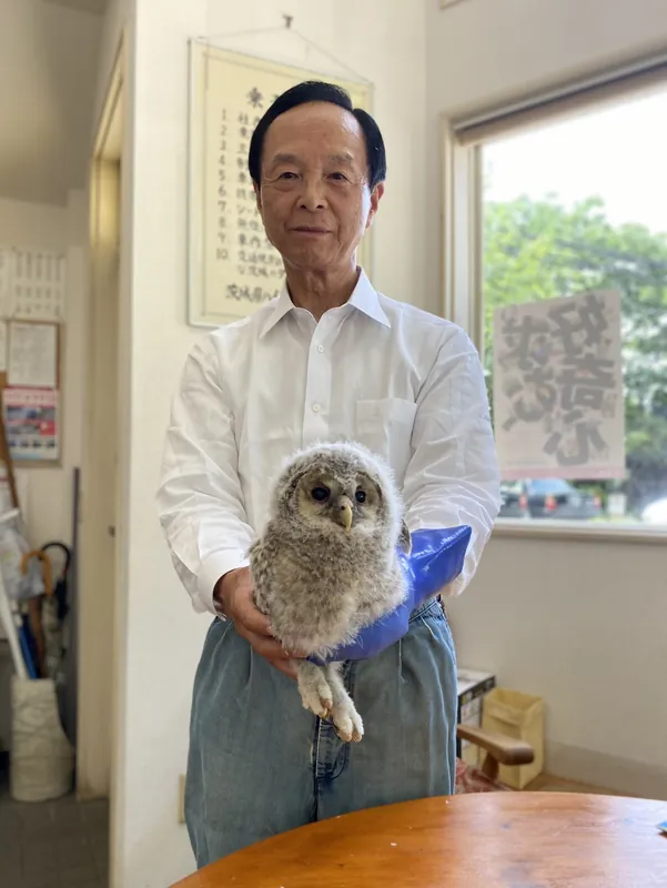 フクロウに襲われるの写真 1