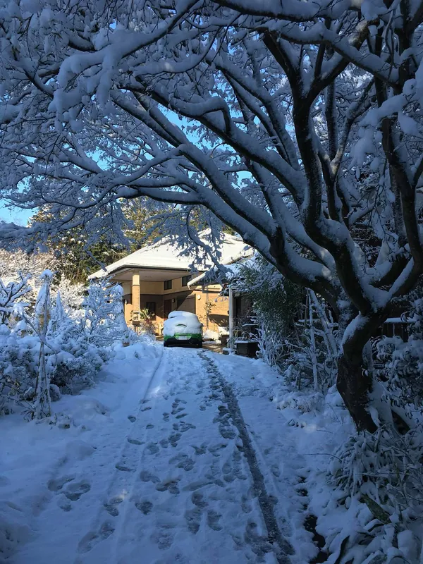 我が家の大雪の写真 1
