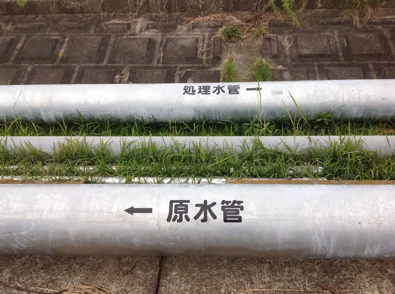 霞ヶ浦浄化は県の最重要課題だの写真 6