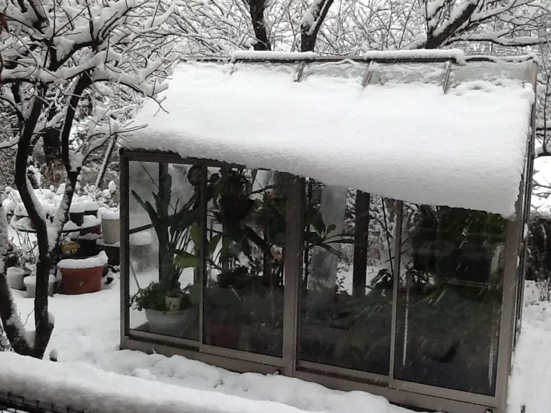 新年会と大雪の写真 1