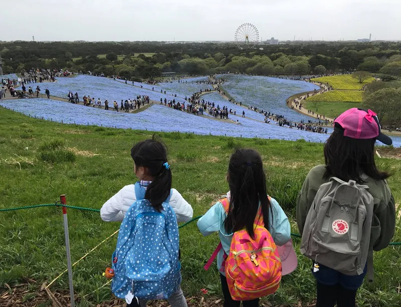 一度は行ってみたい絶景の写真 2