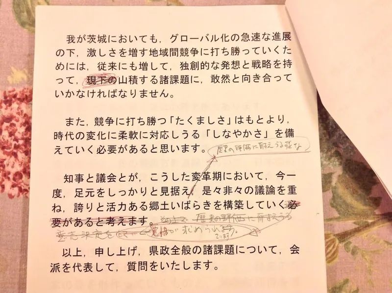 明日は代表質問をいたしますの写真 1