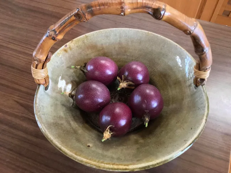 パッションフルーツの実が完熟して枝から落ちた。の写真 2