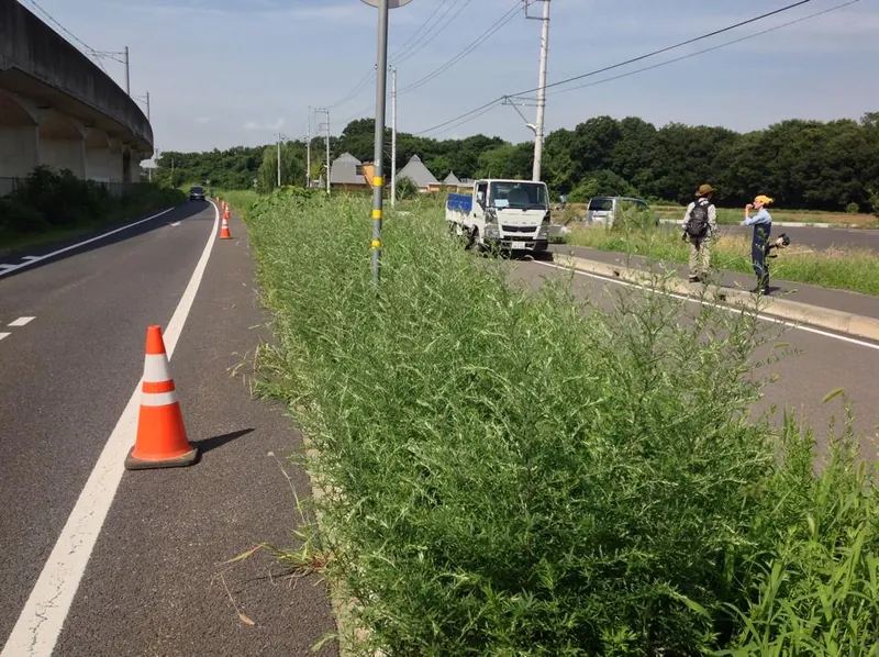 通学道路の草刈りの写真 2