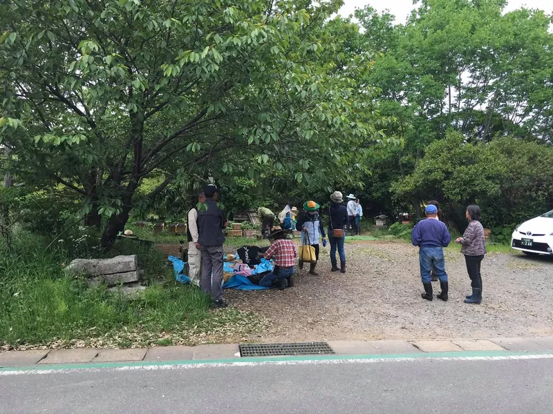 シーズン最初の採蜜の写真 4